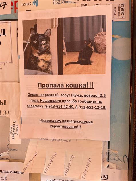 Запись от 14.02.2024 .